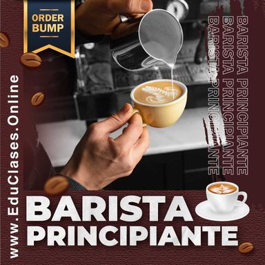Barista para Principiantes